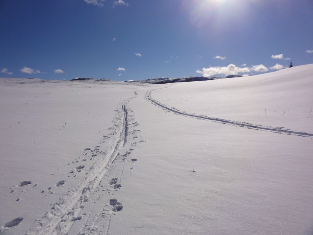 ski tracks
