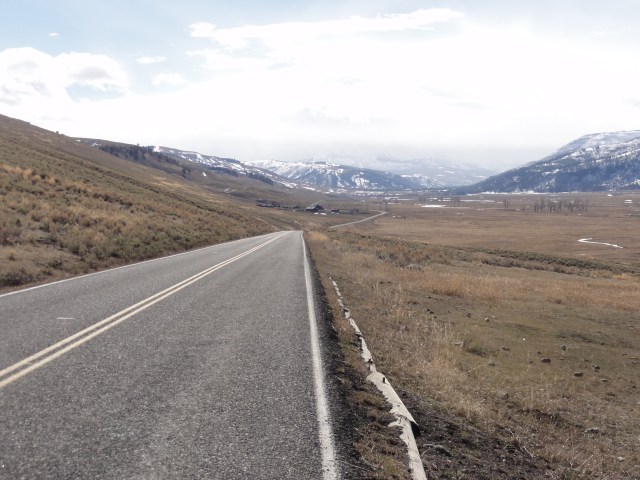DSC01315 Lamar Valley in March