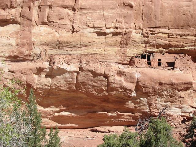 Or here, right below the ruin...