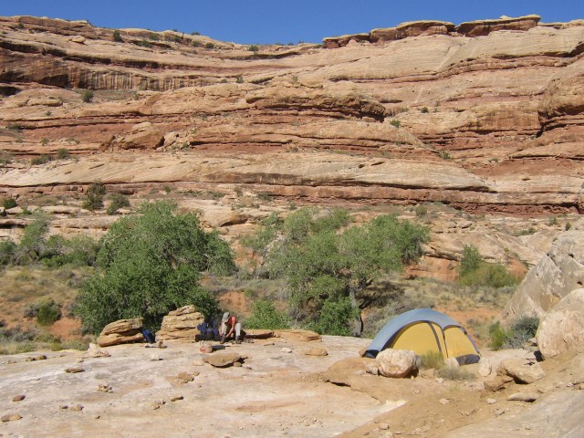 Or here, still in Grand Gulch but below the Narrows...