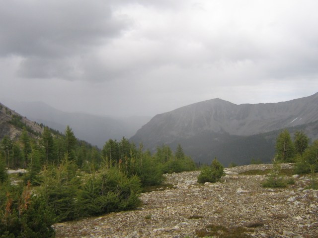 Or in the Pintler Mountains.