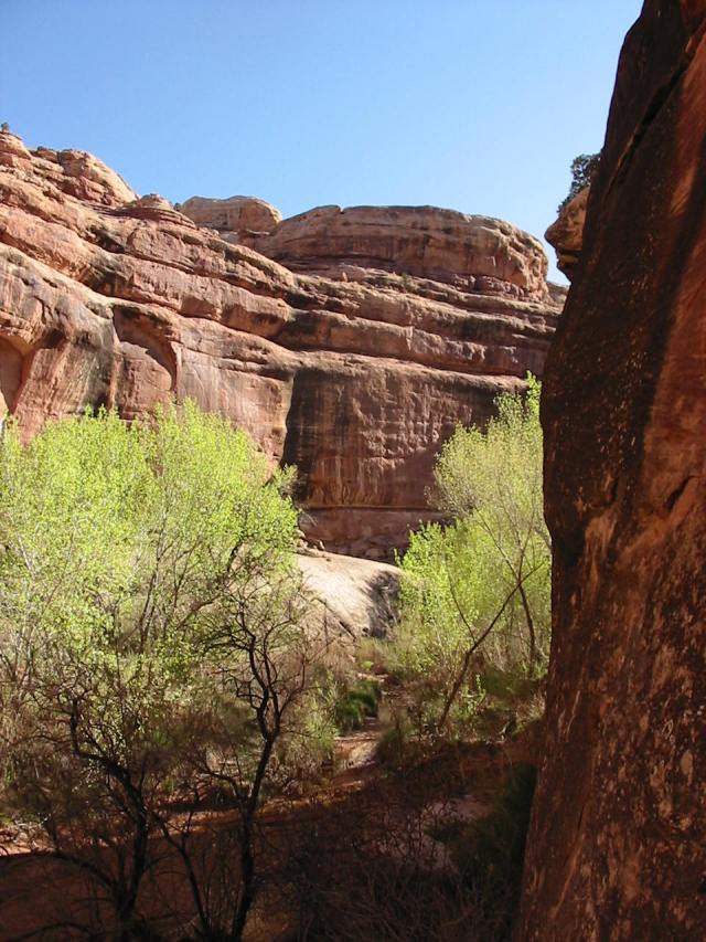 Near Bannister Ruin, Grand Gulch, Utah.  See the ledge in the middle of the photo? That's where I sit.  