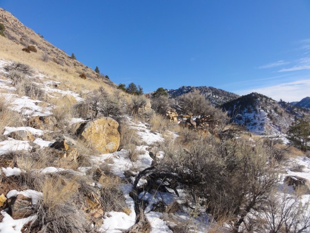 It gets a little "bushwhacky"