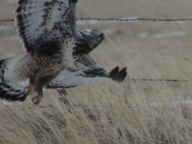 fail again, but I actually kind of like this one