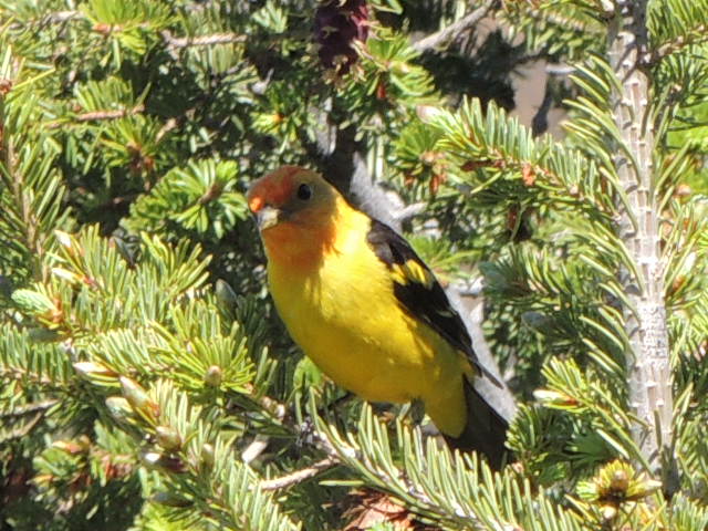 I'm pretty? Yeah, everyone says that.  But I'm a MALE, dang it!  Would it kill you to say "handsome" once in a while??