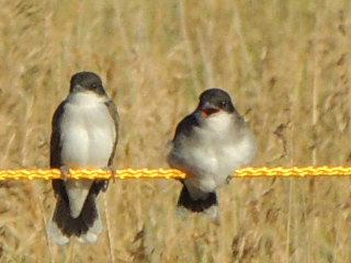 Finally I can get a word in.  Jeez.  