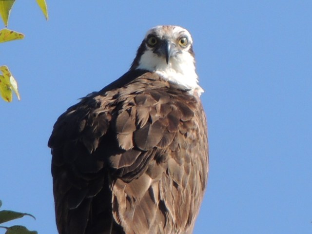 I see you.  Believe me, I SEE you.  