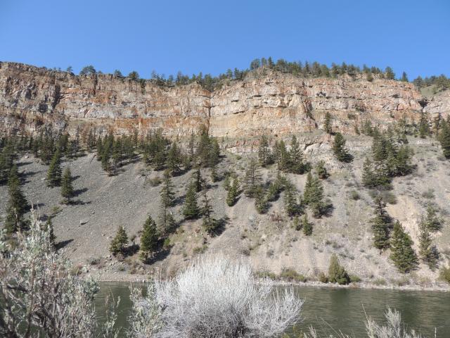 The Hauser nest is in a fir tree halfway up the slope.