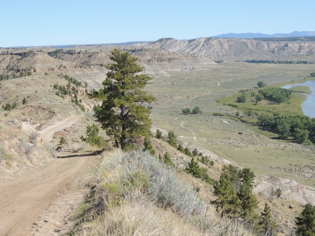 We camped in the cottonwoods at the bottom.  