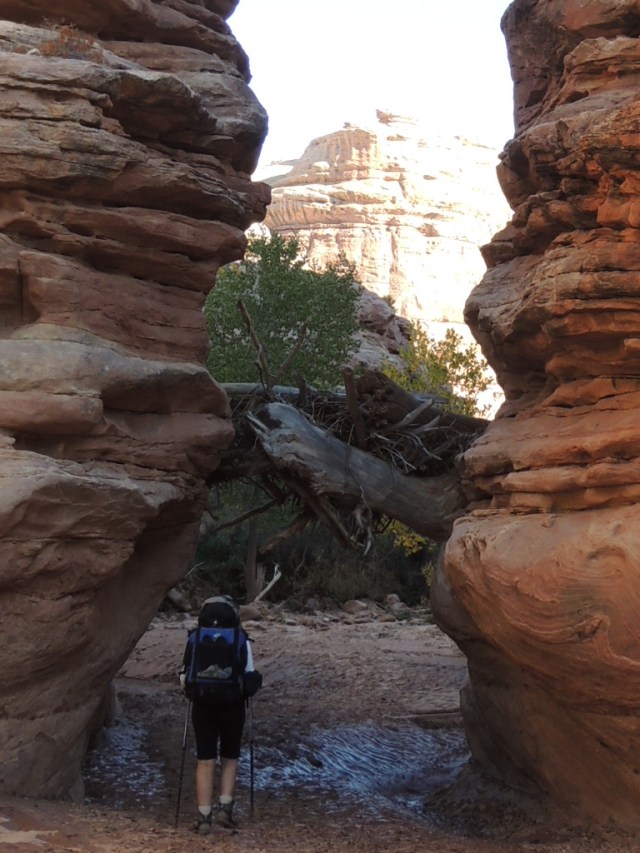 The last time we went through the narrows this debris was not stuck.  Wouldn't want to be here during that flood! 